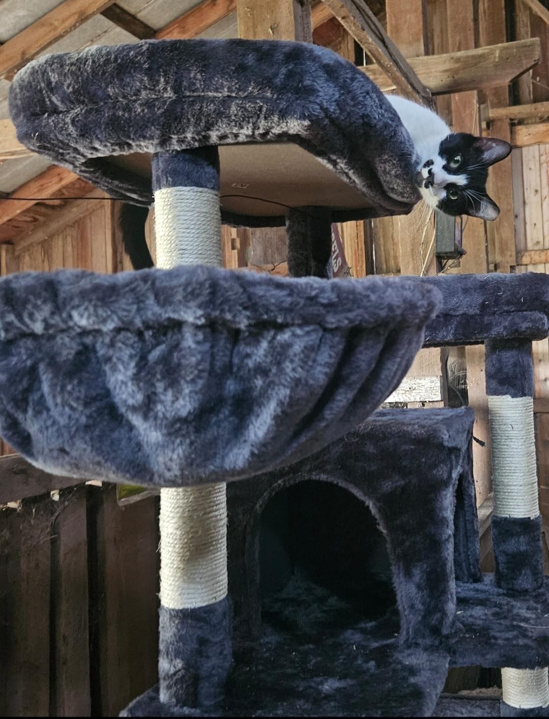Hey-brother Cat Tree, 74 inches Multi-Level XL Large Cat Tower for Indoor Cats with Three Cat Condos, Two Large Top Decks and Cat Hairbrushfor Kittens, Cats and Pets, Smoky Gray MPJ035-MG customer photo 2