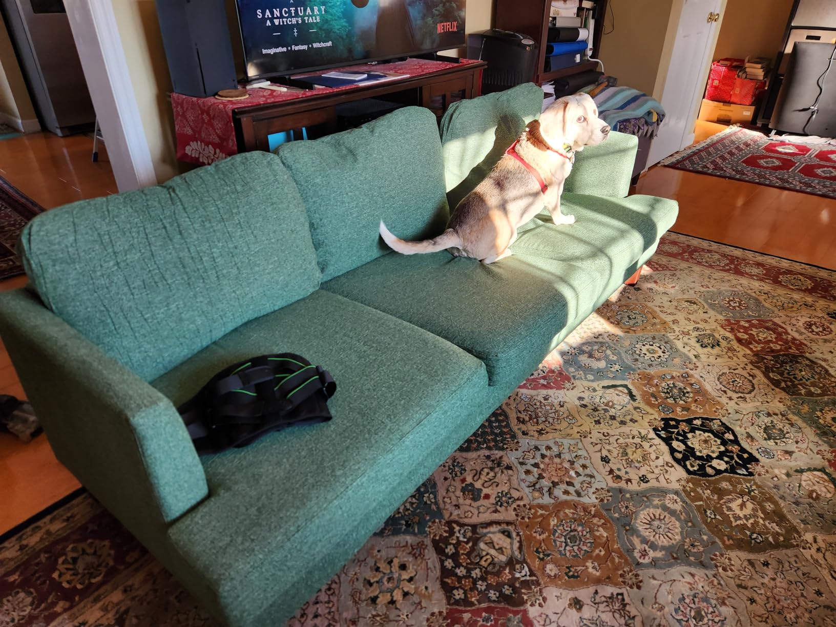Gericco Mid Century Modern 89