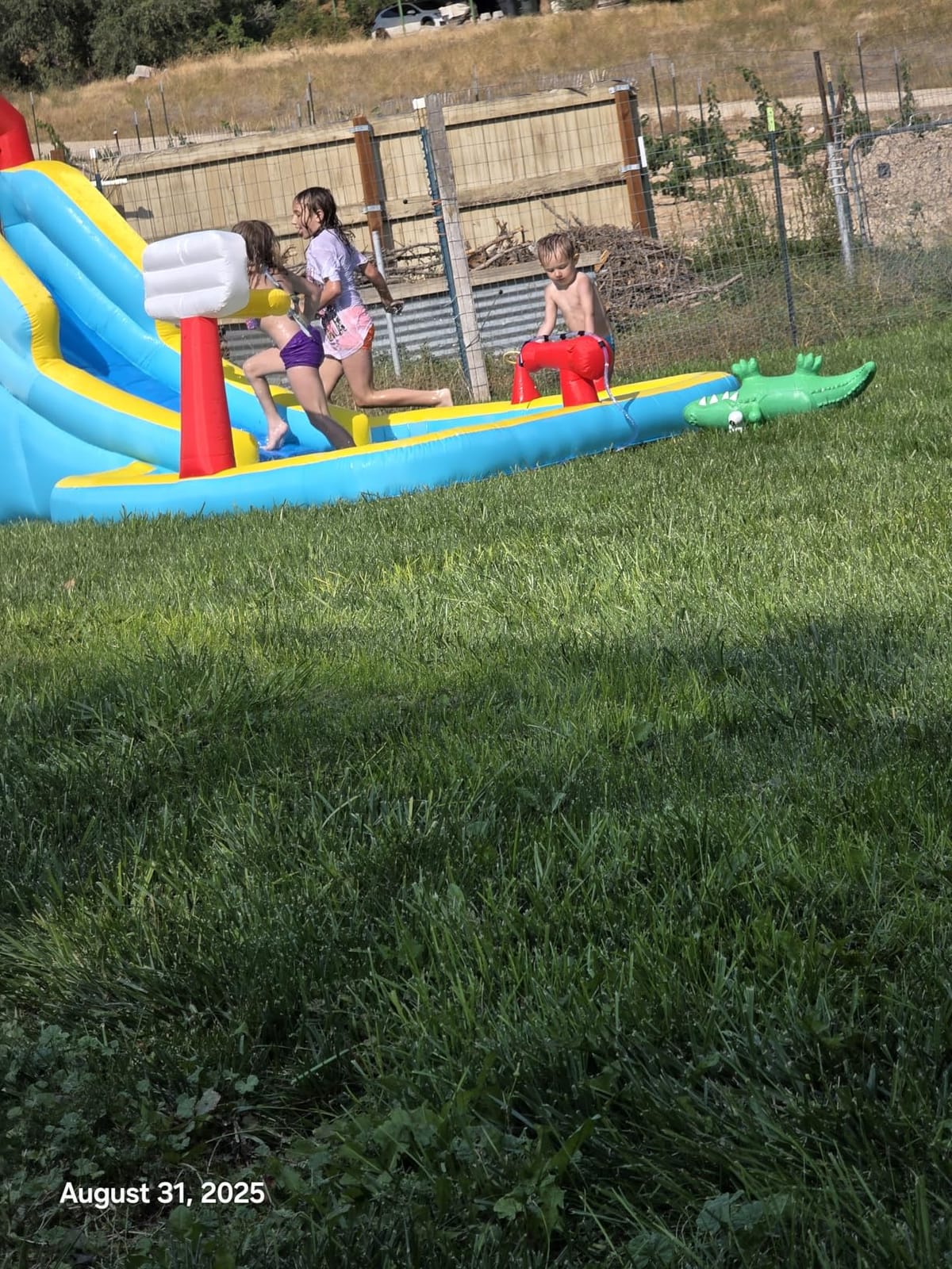 Inflatable Water Slide, Blow Up Water Slide with Climbing Wall, Water Slide for Kids Backyard with Basketball Hoop, Water Cannon and Splash Pool customer photo 1