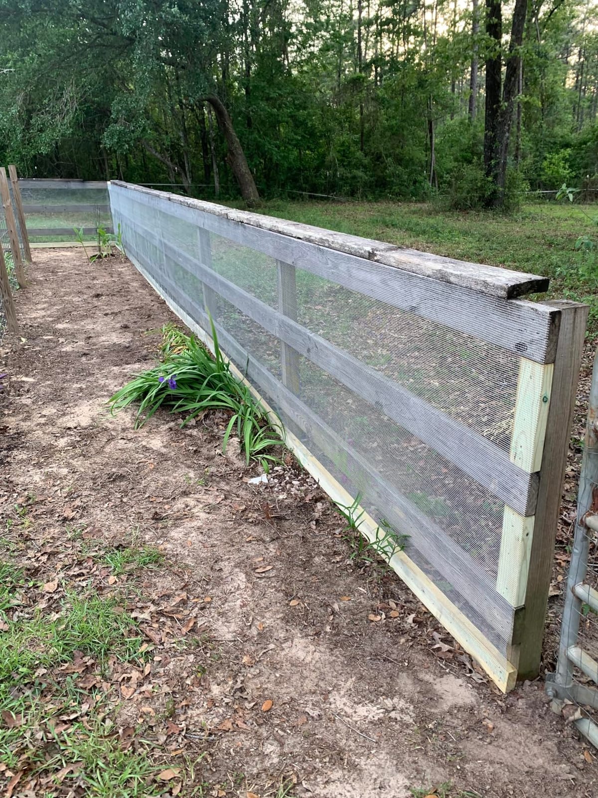 Black PVC Coated Welded Wire Fencing, 72in High x 50ft Long, 2 inch x 4 inch 14GA 2/3/4/5/6 Ft Tall Welded Wire Fence Rolls, Black Metal Garden Fence Wire Roll Garden Fencing for Yard customer photo 2
