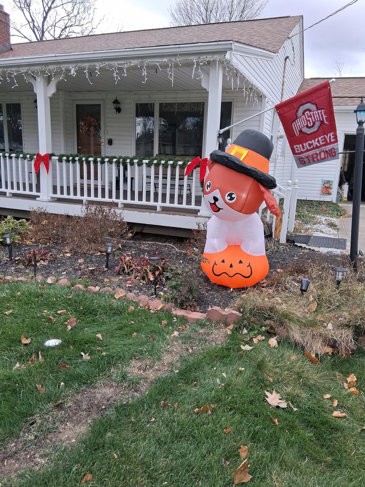 GOOSH 5.2 FT Thanksgiving Inflatables Dog Outdoor Decorations Blow Up Yard Cute Puppy Standing on a Pumpkin with Pilgrim Hat with Built-in LEDs for Garden Lawn Indoor Party Decor customer photo 1