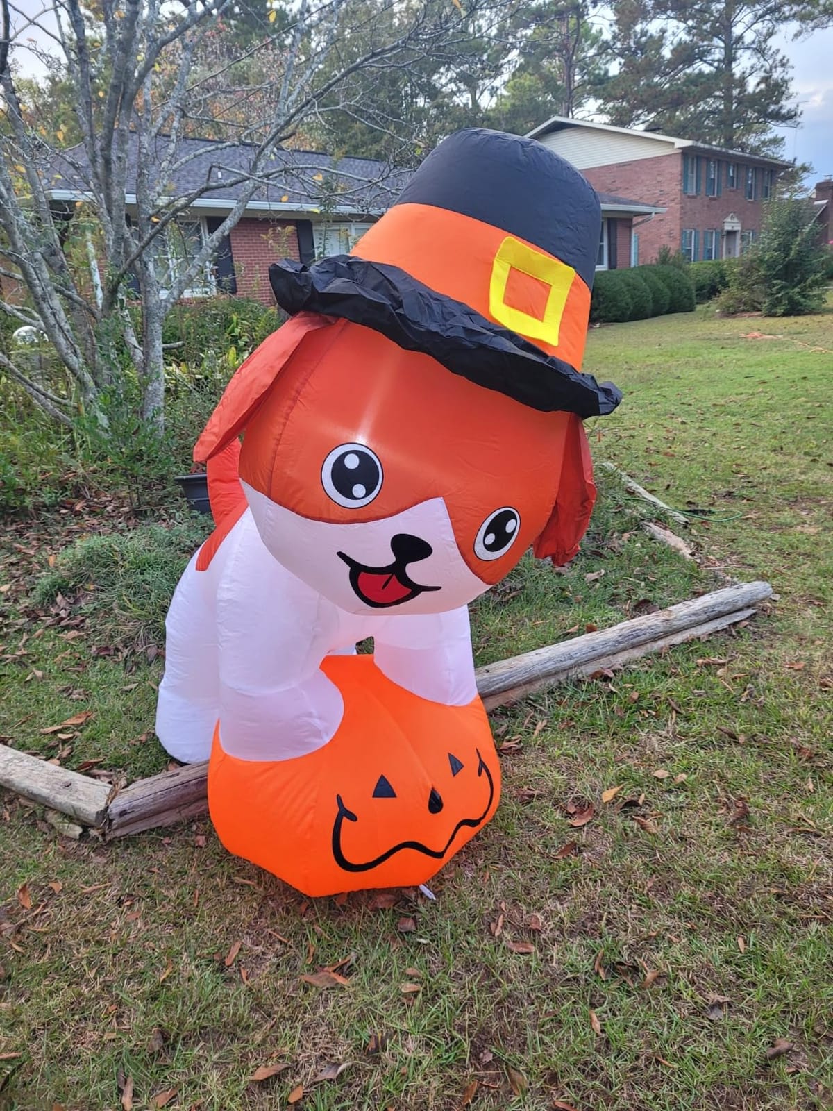 GOOSH 5.2 FT Thanksgiving Inflatables Dog Outdoor Decorations Blow Up Yard Cute Puppy Standing on a Pumpkin with Pilgrim Hat with Built-in LEDs for Garden Lawn Indoor Party Decor customer photo 2