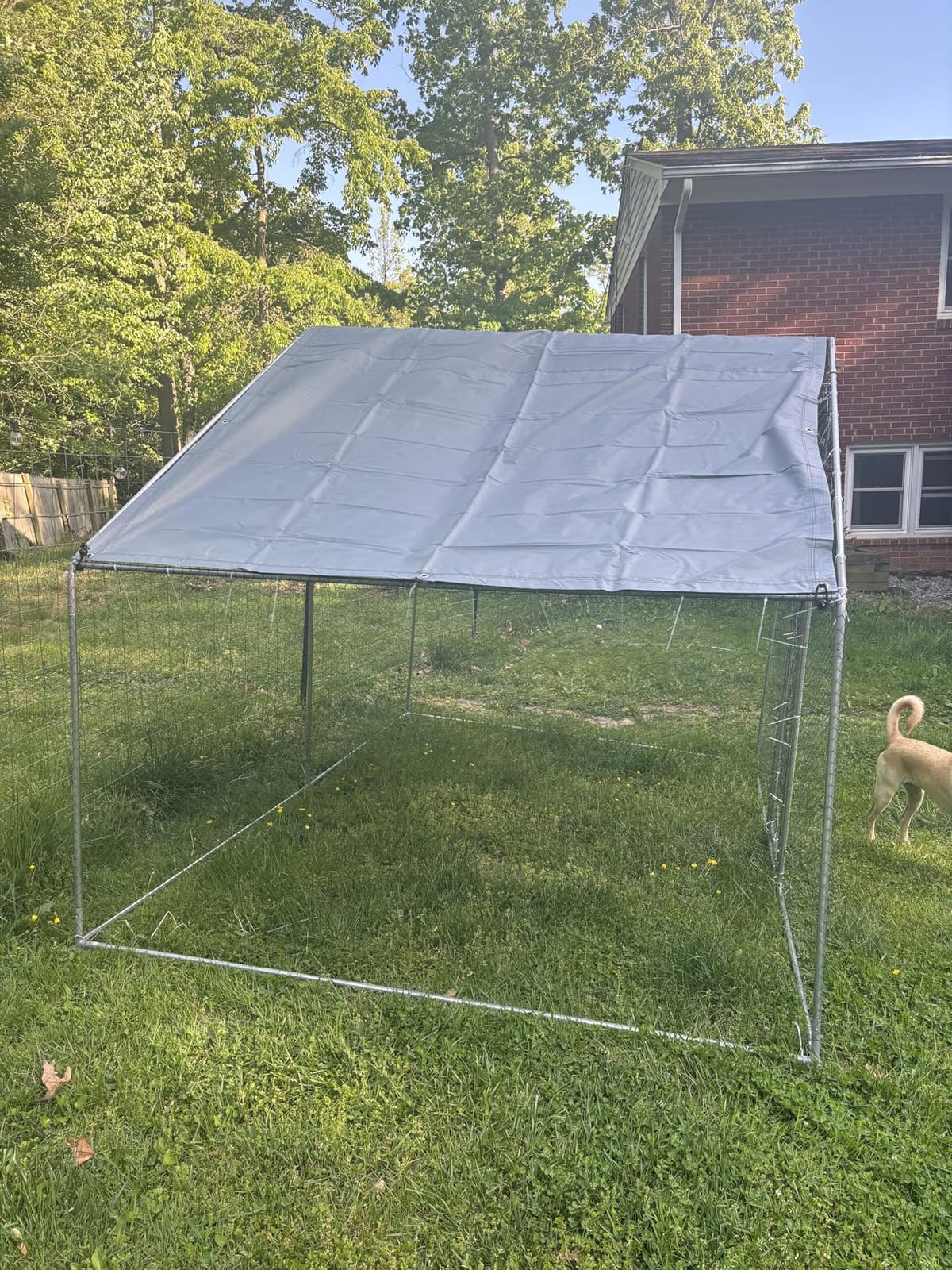 Large Metal Chicken Coop Round Top Upgrade Tri-Supporting Wire Mesh Chicken Run,Chicken Pen with Water-Resident and Anti-UV Cover,Duck Rabbit House Outdoor (25'L x 9'W x 6.5'H) customer photo 2