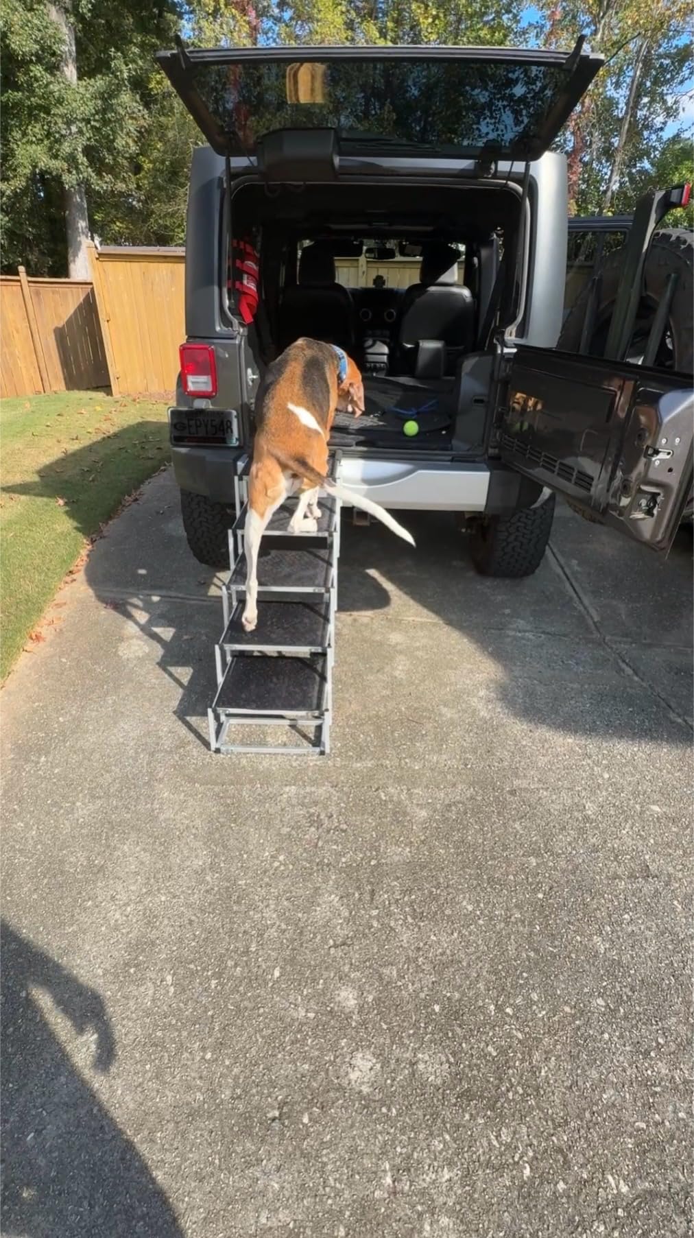 Deergym Dog Stairs for Large Dogs - 5 Step Wide 16in High 34in Foldable Dog Ramp for Car Non-Slip Surface Support up to 230lbs - Suitable for SUV,Truck, Sofas, Bed customer photo 2