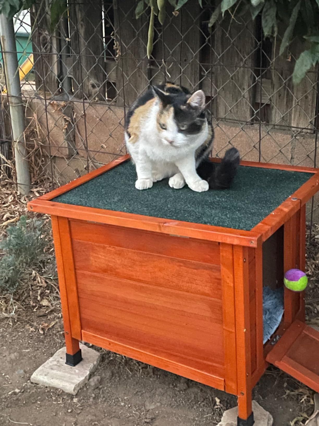 Coziwow Rabbit Hutch Indoor Outdoor, Nonslip Ramp Small Animal Cage, Gray | Wooden openable cage for bunnies, cats, chickens, ducks & small pets. Easy to move, secure shelter. Ideal for indoor hideout. customer photo 1