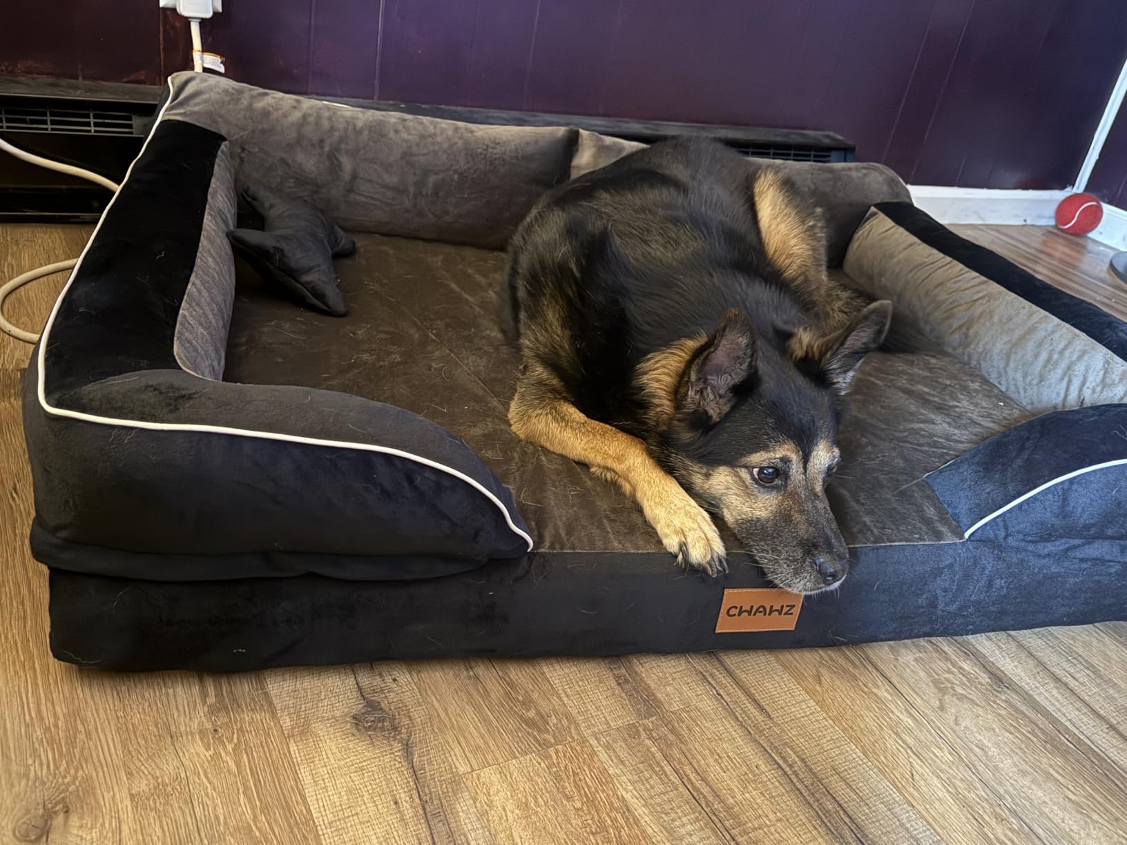 CWAWZ Extra Large Dog Bed, Orthopedic Dog Bed with Cooling Gel Memory Foam, Waterproof XL Pet Bed with Removable Washable Cover, 42