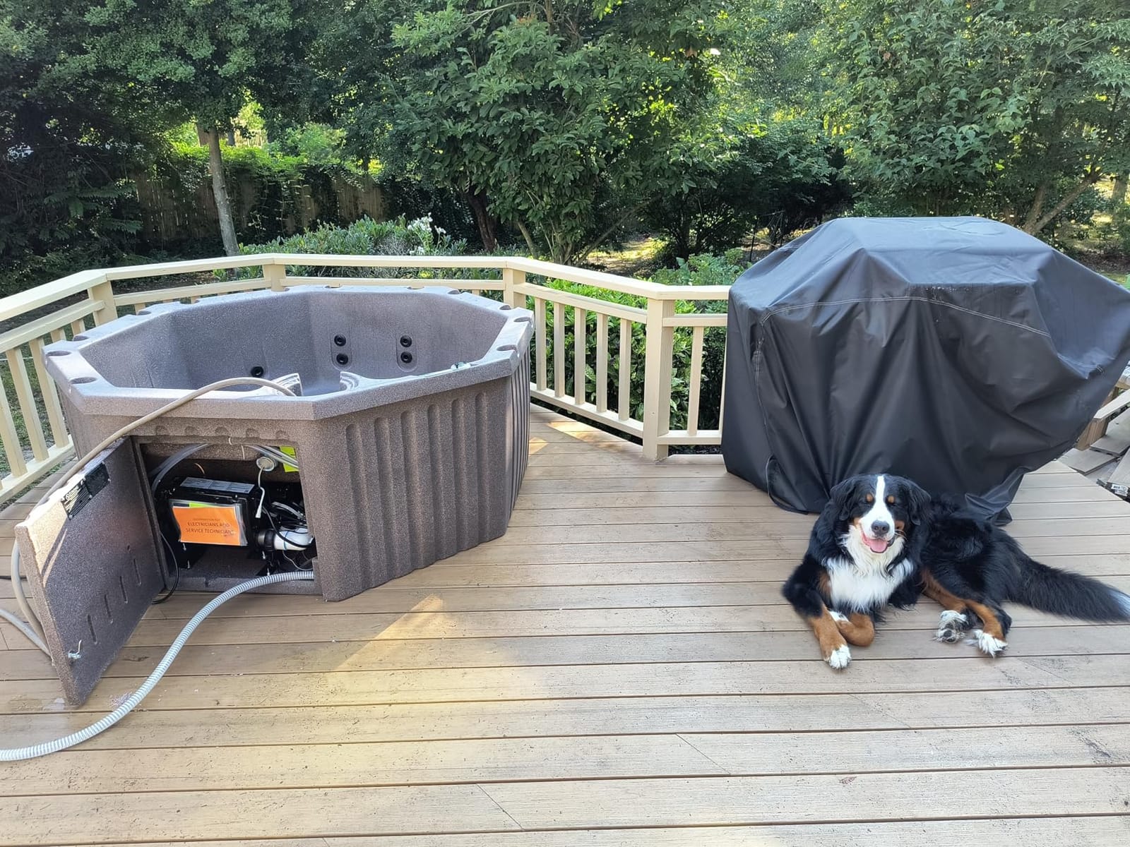 Aqualife by Strong Spas Invi 5 Person Rigid Resin Hot Tub Spa, 11 Jets, 2BHP 2-Speed Pump, Stainless Steel Heater, 120V Plug & Play, Full Foam Insulation, 4 Season Outdoor, LED, Cover and Filter customer photo 2