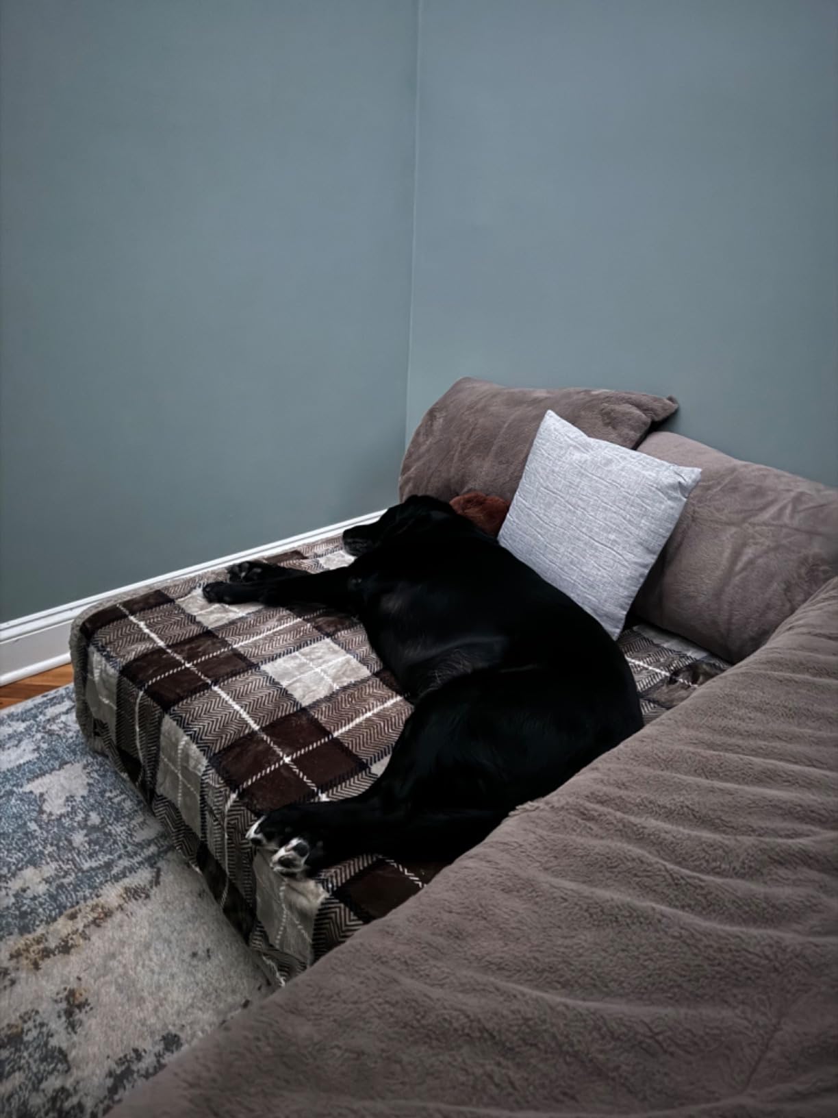Folding Sofa Bed, Fold Out Couch Memory Foam Sleeper Chair with 2 Pillows | Queen Size Futon Couch Guest Convertible Chair Bed, Comfy Floor Sofa Lounge Washable Cover, Dark Green customer photo 1