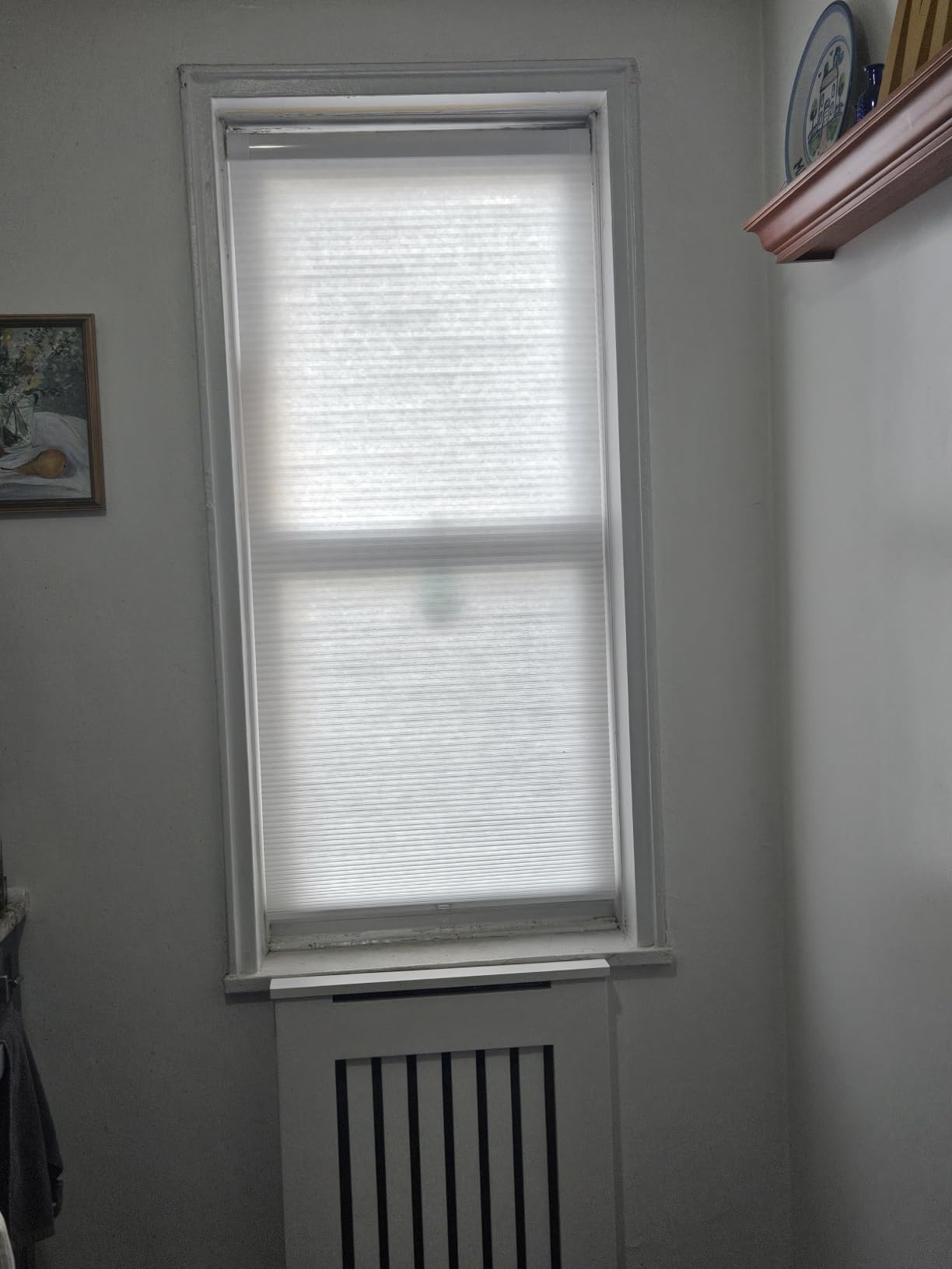 LazBlinds No Drill Cordless Cellular Shades, 22