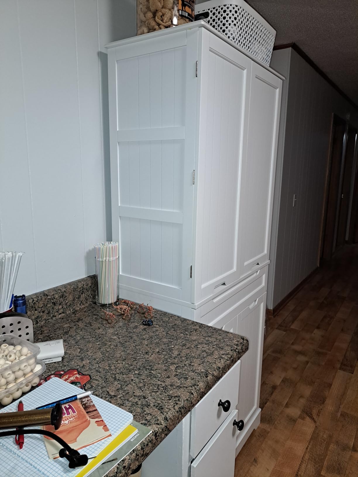 Gizoon Tall Kitchen Pantry Cabinet with Doors and Adjustable Shelves, White, 70