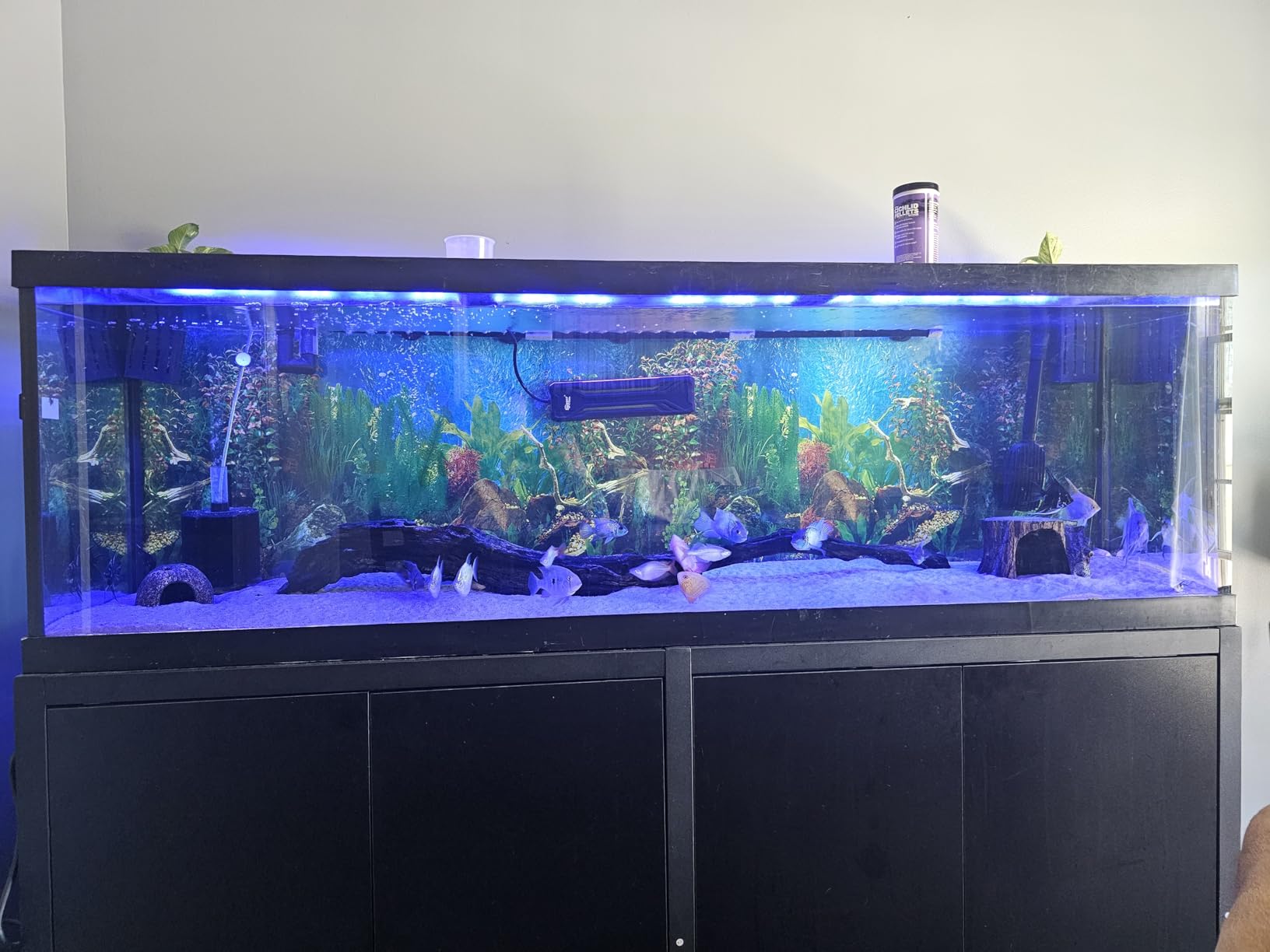 GDLF 125-150 Gallon Large Fish Tank Stand, Metal Aquarium Stand | 72.8