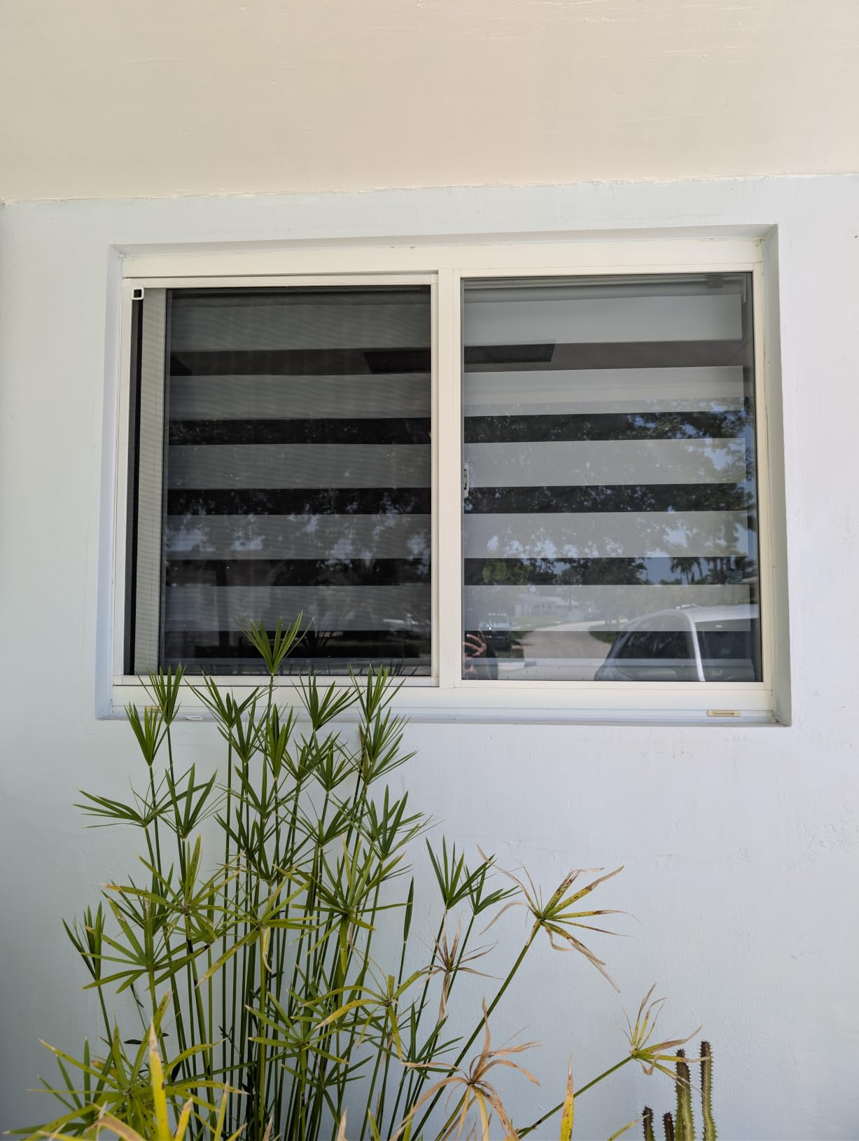 AOSKY Cordless Zebra Blinds for Indoor Windows, 34