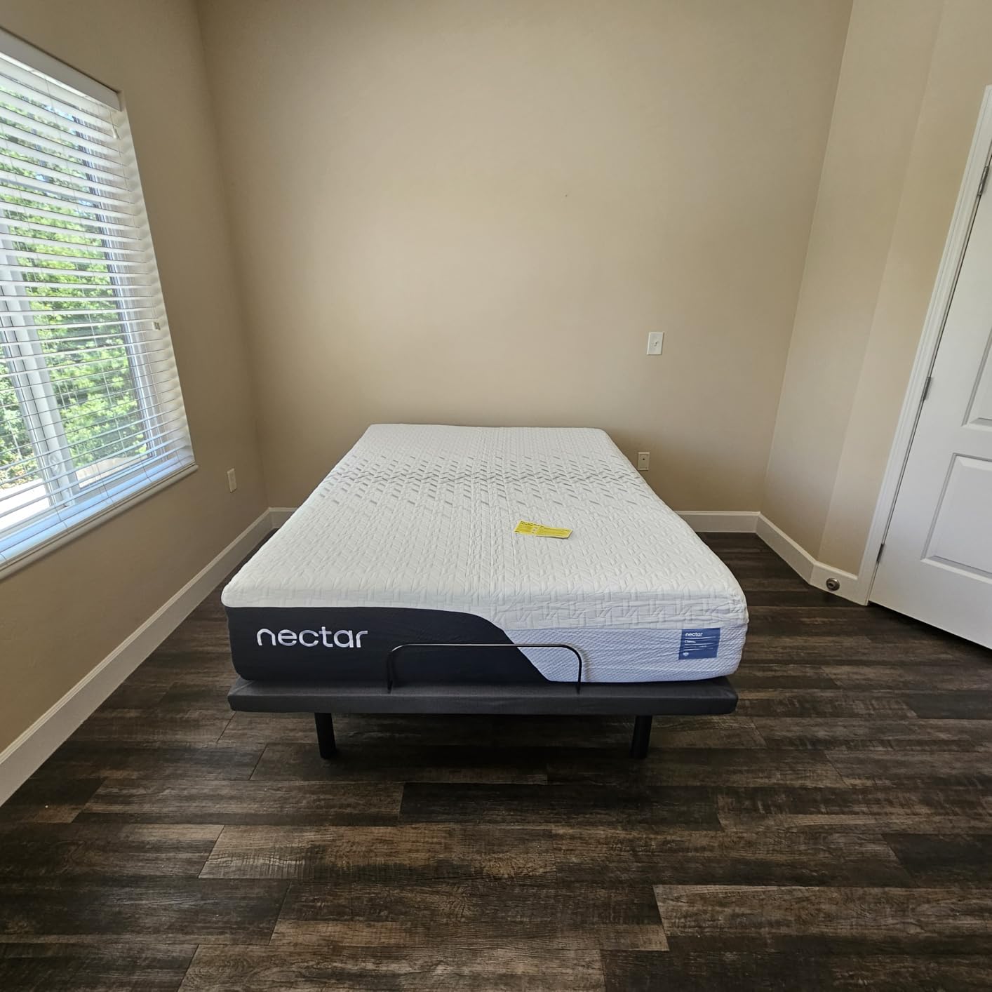 Nectar Classic 12