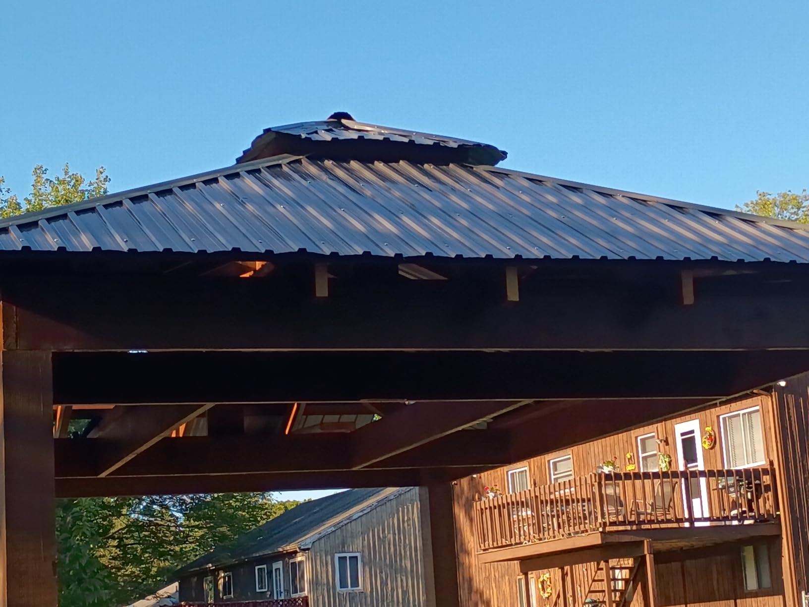 Metal Roof Panels 20 pcs 99 ft² Galvanized Steel Corrugated Tin Roofing Panels Gazebo Top Cover Garages, Sheds, Stables and Mobile Homes Replacement for Patio Outdoor Garden, Black customer photo 2