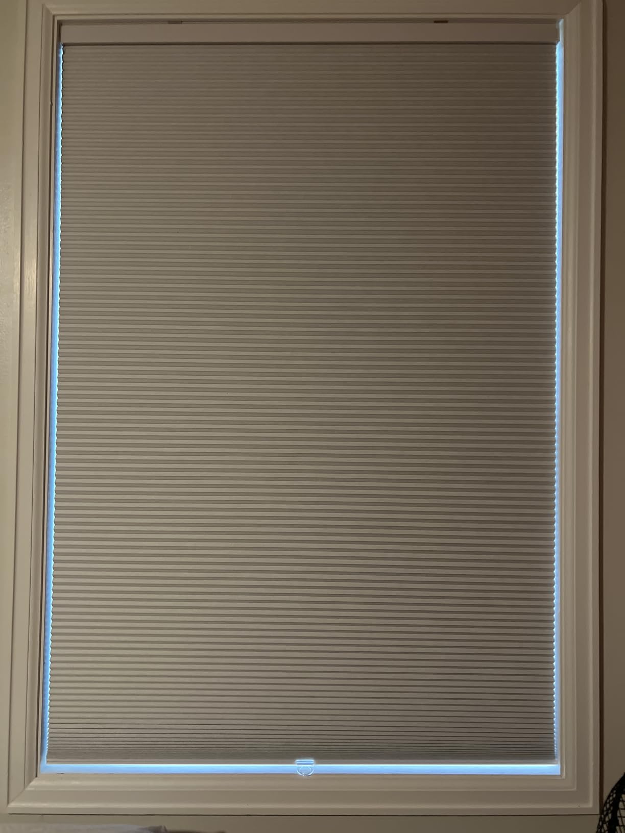 Calyx Interiors Cellular Honeycomb Shades, 33.5
