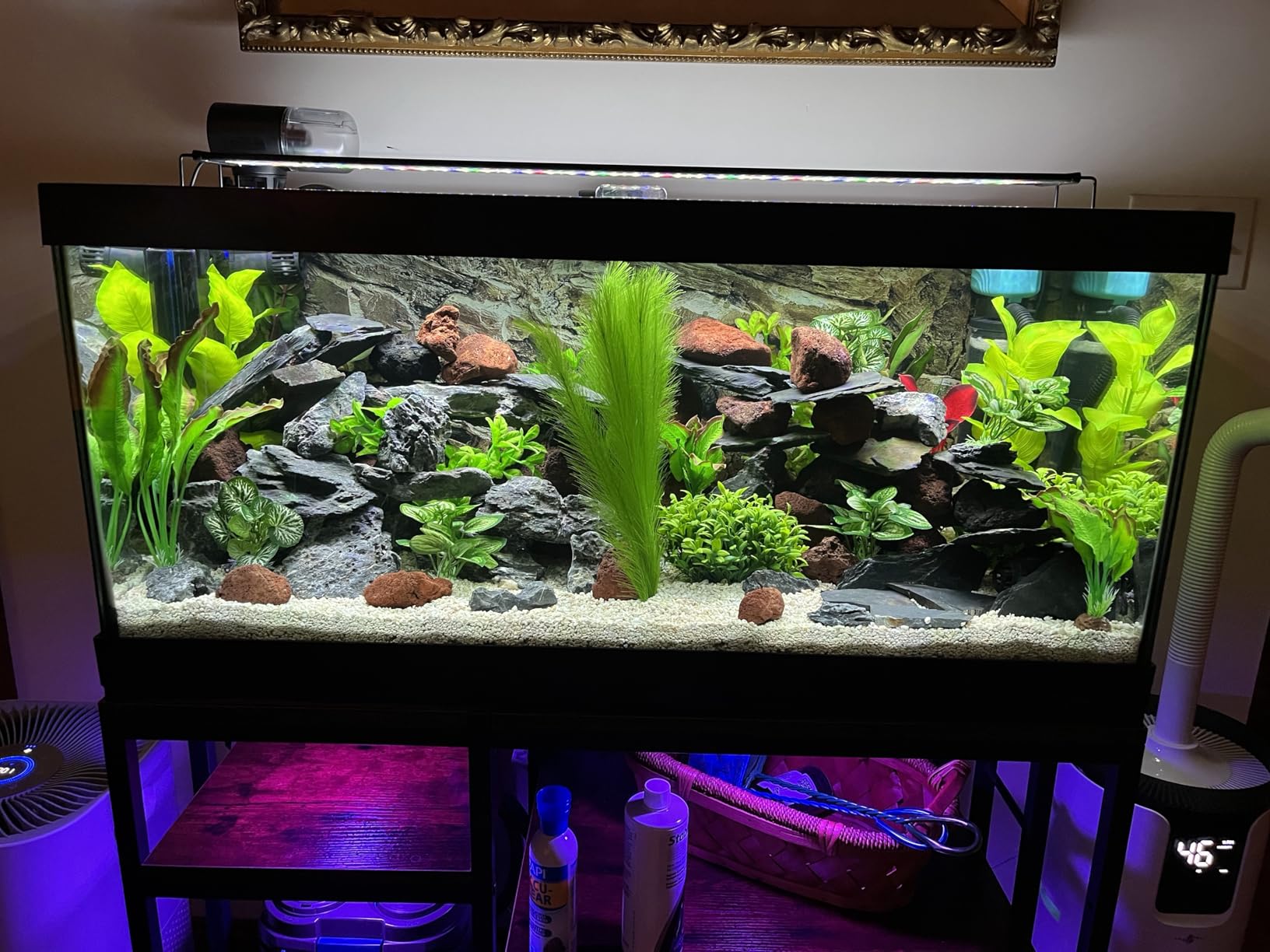 SEAOURA Aquarium Planted Light with 24/7 Timer for 48-54in Fish Tank | High PAR Leds for Plant Growth, 3 Timers + Memory, 20 Dimming, 15min Fade, Adjustable Brackets, Slim Aluminum customer photo 1