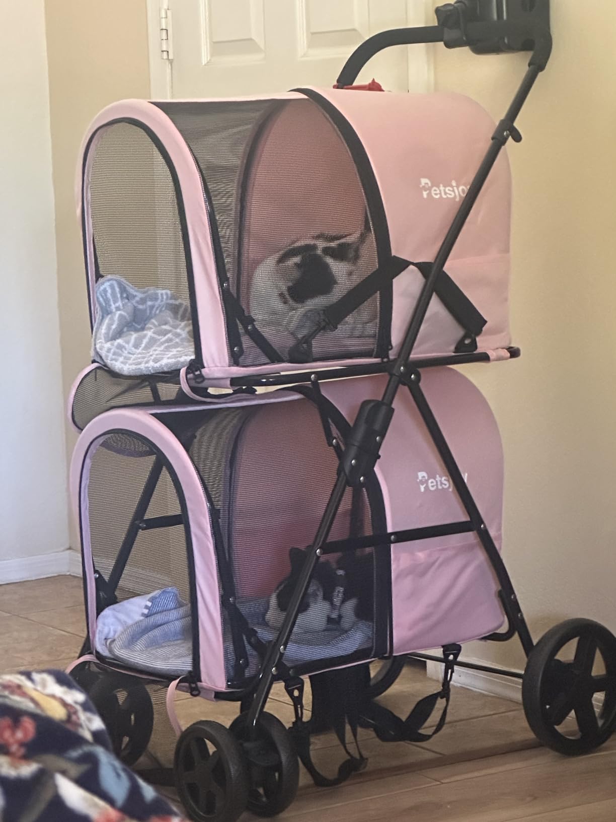 Giantex Double Pet Stroller with 2 Detachable Carrier Bags, Safety Belt, 4 Lockable Wheels, Folding Cat & Dog Stroller for Small Medium Pets customer photo 2