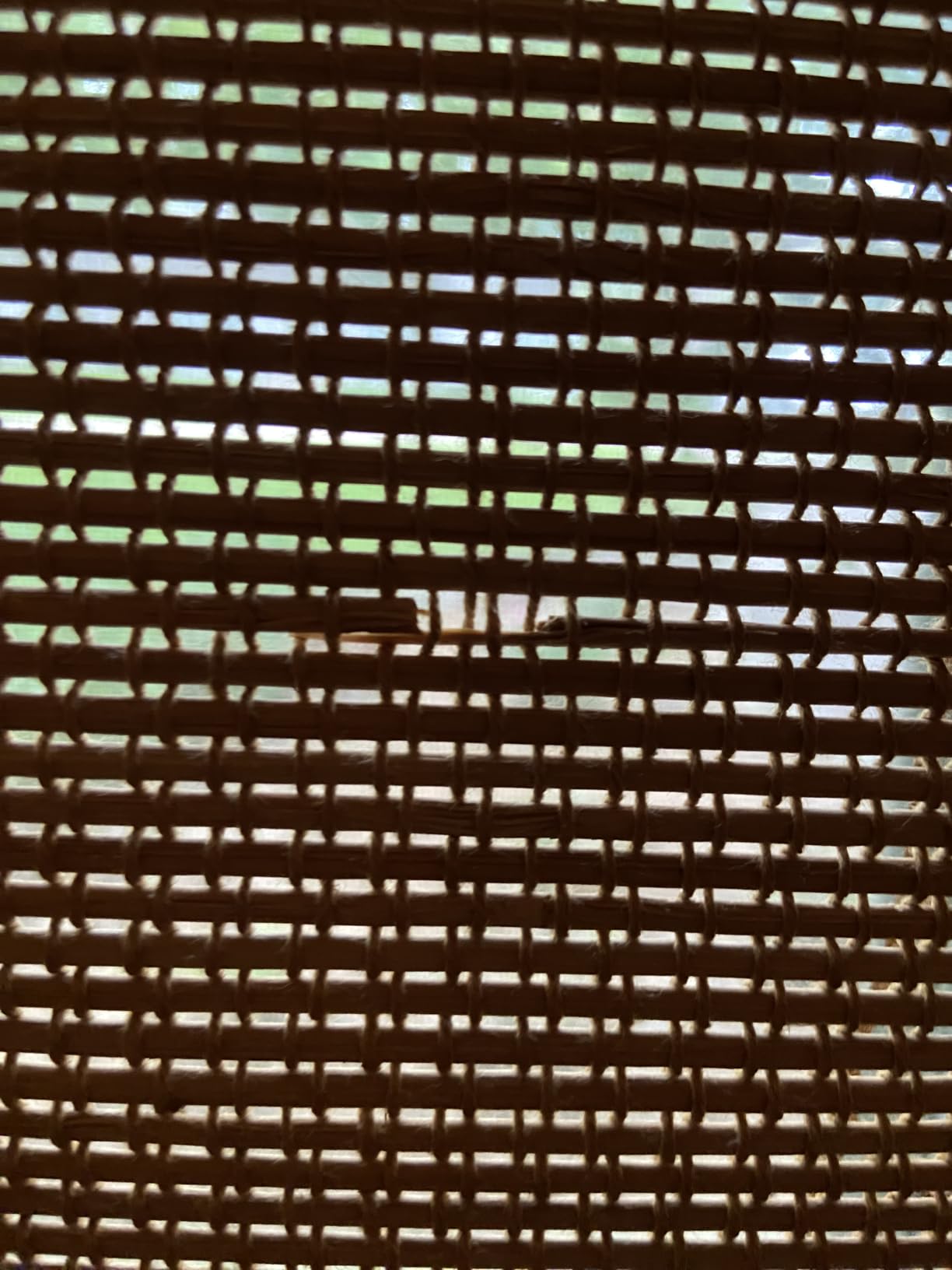 Cordless Woven Wood Roman Shades, Bamboo Shades Sizes 20 to 72 Wide and 24 to 72 High, Bamboo Mesh Natural customer photo 1