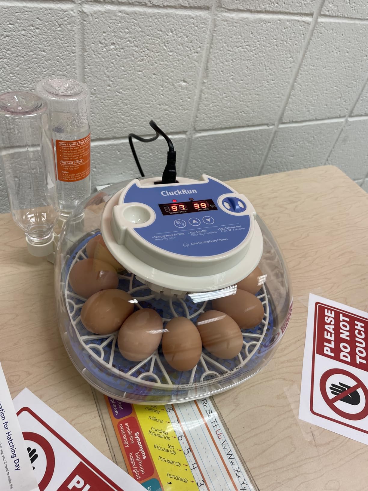 12 Egg Incubators for Hatching Eggs, Auto Turning, Temp & Humidity Control | Auto Egg Turning, Auto Water Refill, 360° Viewing Window, Built-in Egg Candler & Air Vents customer photo 1