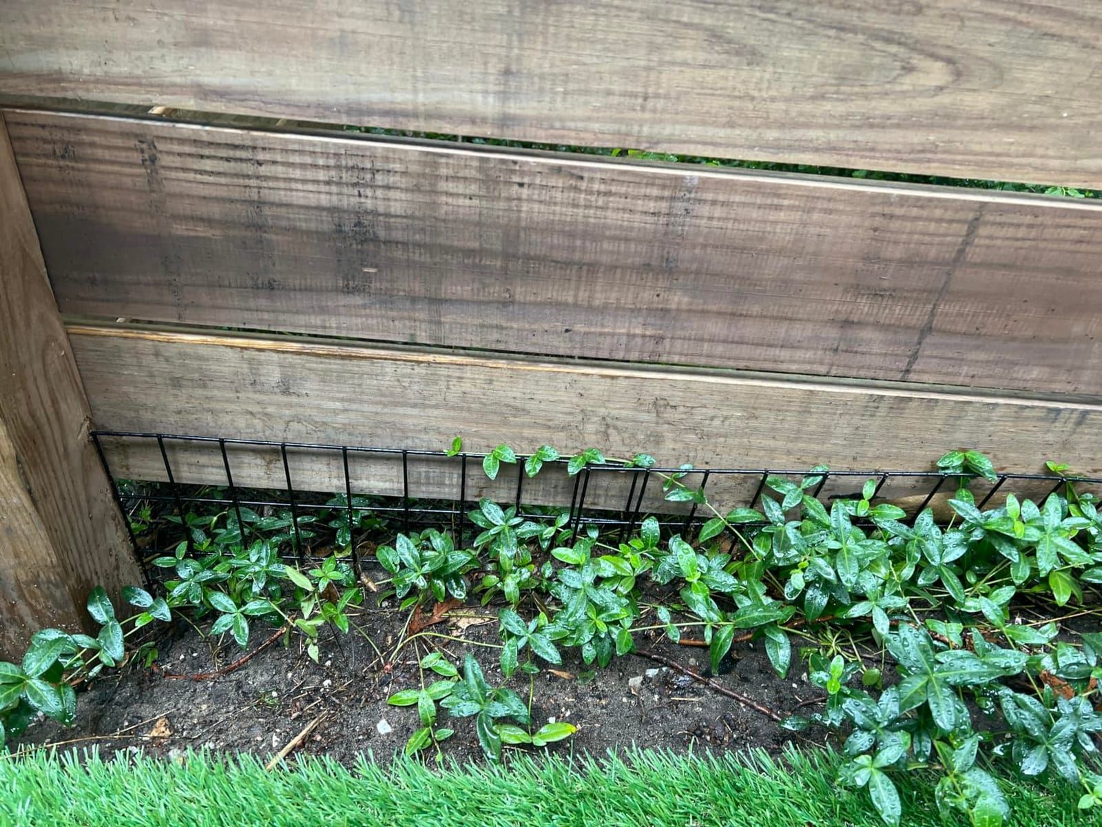 42.5ft(L) x 13in(H) Animal Barrier Fence, 30 Panels No Dig Garden Fence for Dog Rabbit, Rustproof Anti Digging Barrier, Garden Edging Border Ground Defense for Outdoor, Yard, Patio customer photo 1