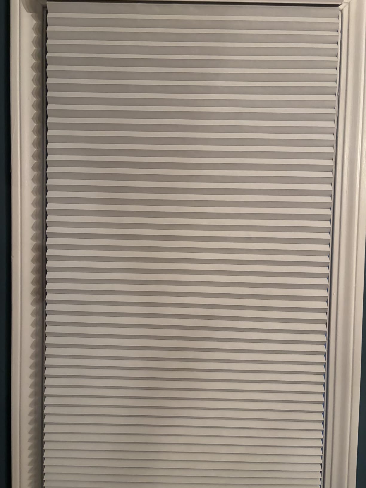 MYshade Cordless Blackout Cellular Shades for Windows, Honeycomb Window Shades with Thermal Insulation, Child & Pet Safe Room Darkening Shade, Easy Install, 48