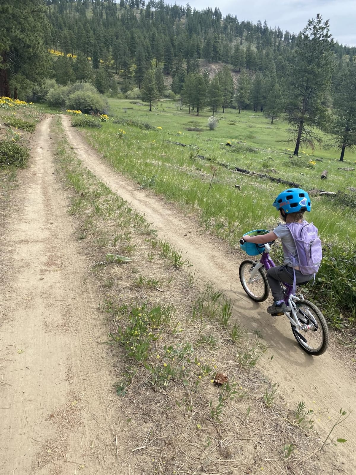 CamelBak Mini M.U.L.E. Kids Hydration Backpack, Lightweight Trail and Bike Pack with 50oz Reservoir customer photo 2