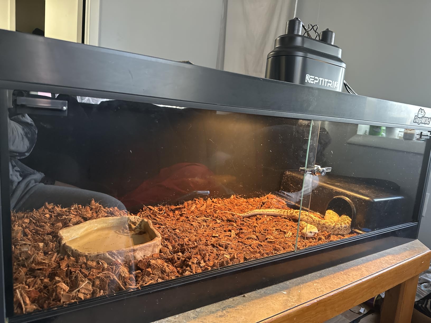 4x2x2 (120 Gallon) PVC Reptile Enclosure, RepWild Terrarium/Tank with Heavy-Duty Screen Top, Glass Sliding Doors & Lock for Bearded Dragons, Ball Python, Geckos, Lizards customer photo 1
