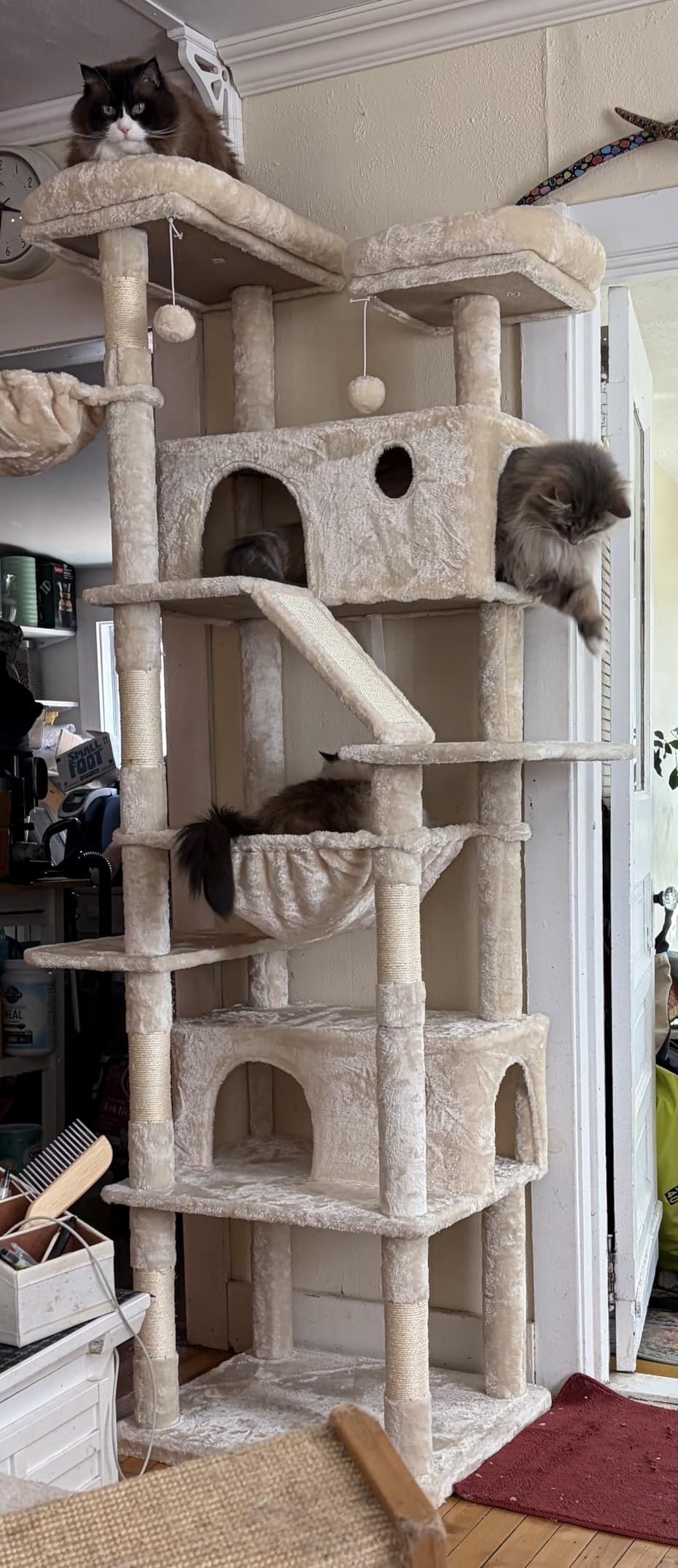 Allewie 81 Inches Tall Cat Tree/Multi-Level Large Climbing Tree House and Towers for Big Feline/Condo and Hammock/Scratching Post/Wide Base/Dark Grey customer photo 1