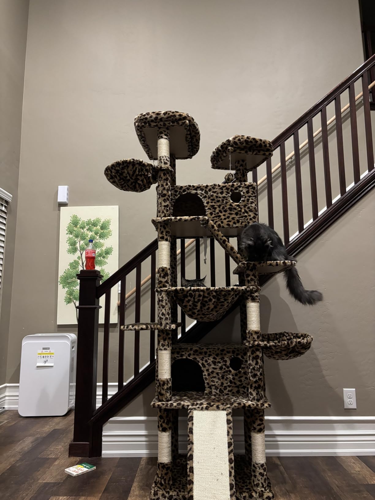 Allewie 81 Inches Tall Cat Tree/Multi-Level Large Climbing Tree House and Towers for Big Feline/Condo and Hammock/Scratching Post/Wide Base/Dark Grey customer photo 2