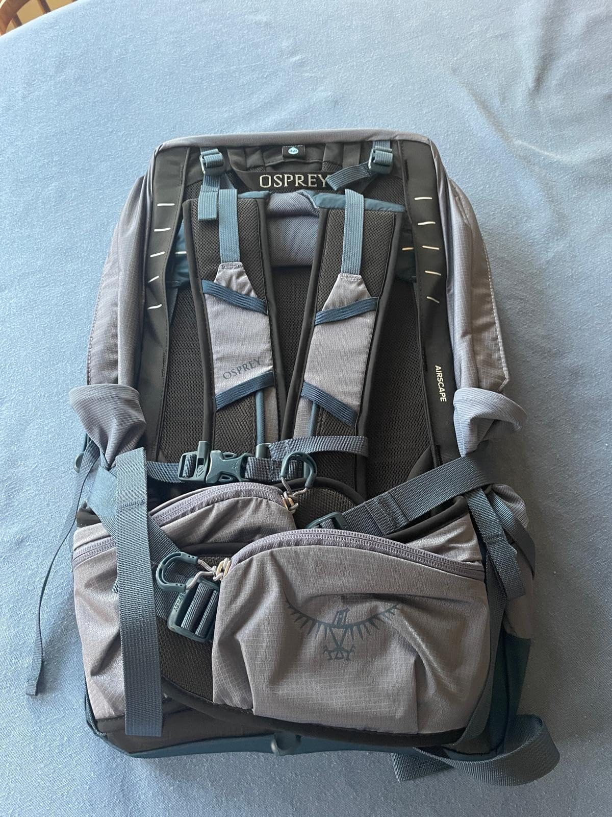 Osprey Tempest 22L Women's Lightweight Hiking Backpack - Small Daypack for Travel & Camping, Frosty Mint Green/Botanica customer photo 2
