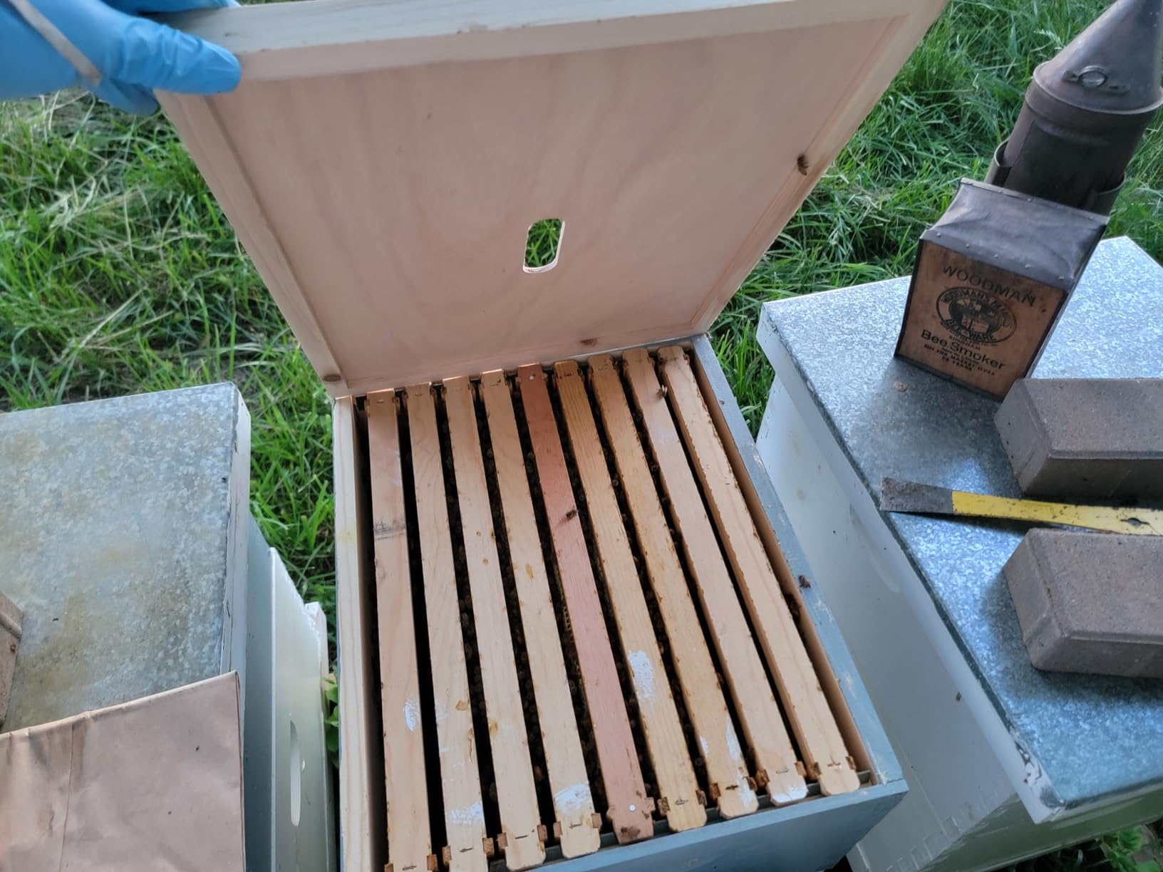 DoubleFill 4 Pcs Beehive Inner Cover for 10 Frame Hive Box Cover with Feeding Hole Beehive Insulation Ventilation Inner Cover for Beekeeping Tool customer photo 1