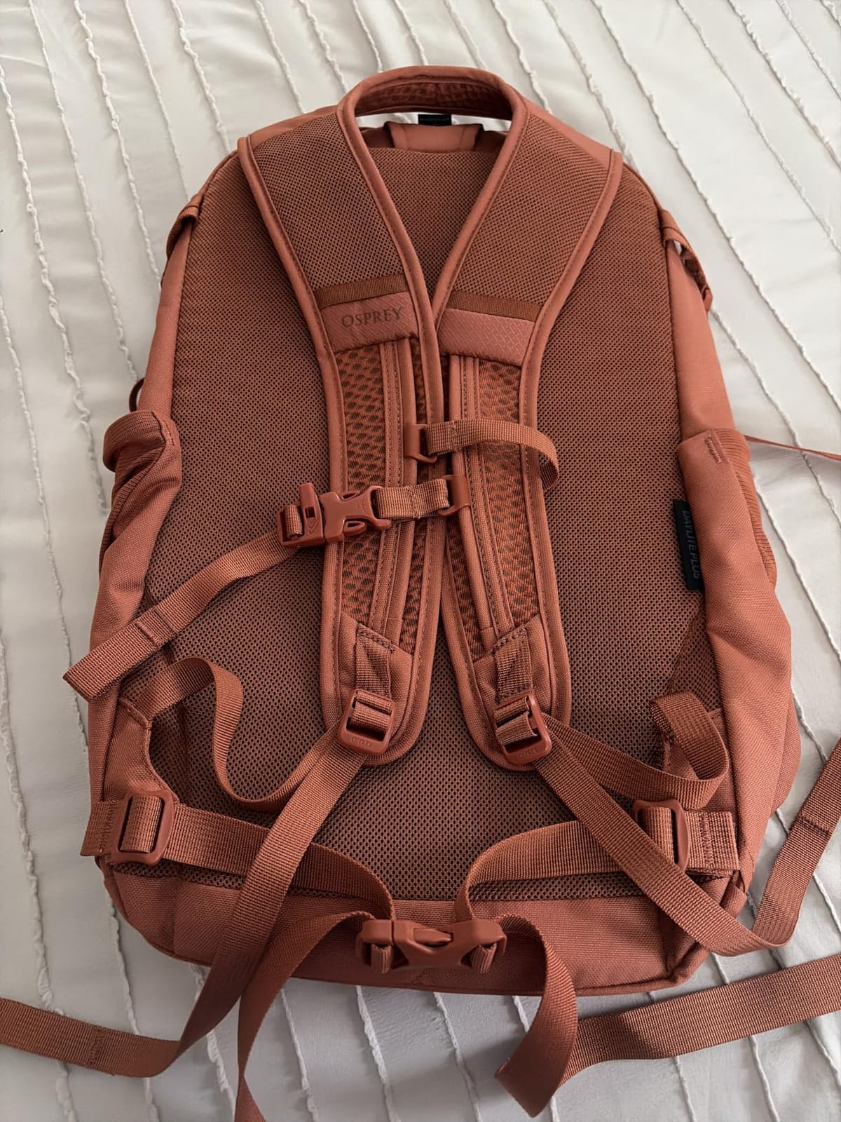 Osprey Daylite Plus Commuter Backpack - Lightweight, Everyday Pack with Laptop Sleeve and Water Bottle Pockets - Ideal for Work, School, and Travel, Seaweed Green Amazon Exclusive customer photo 2
