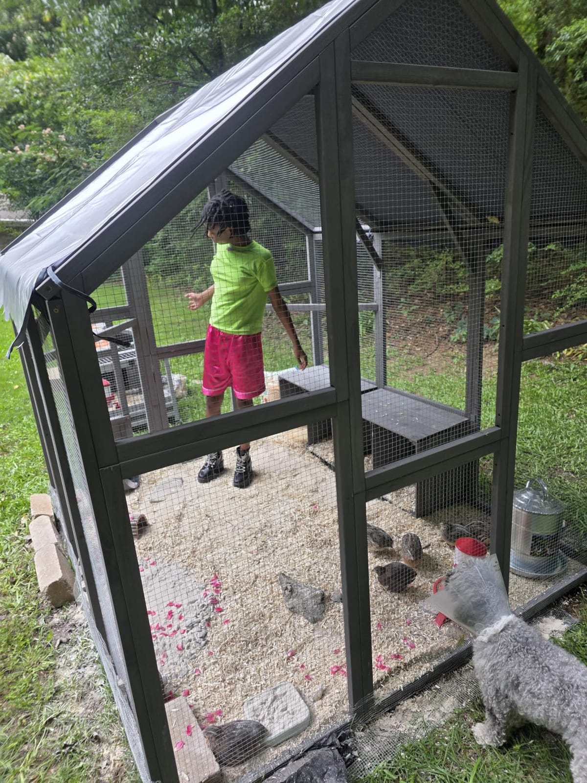 PawHut Large Wooden Chicken Coop for 6-8 Hens 66