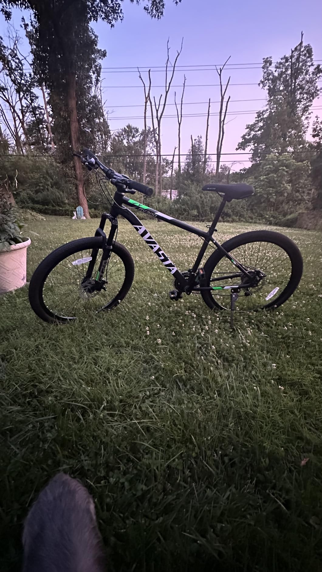AV300 26 27.5 Inch Mountain Bike MTB for Adult Man Women Male | Lightweight Aluminum Alloy Frame, Dual Disc Brakes, Front Suspension, 21-Speed Gear Shifter, Half Hidden Brake Cables customer photo 1