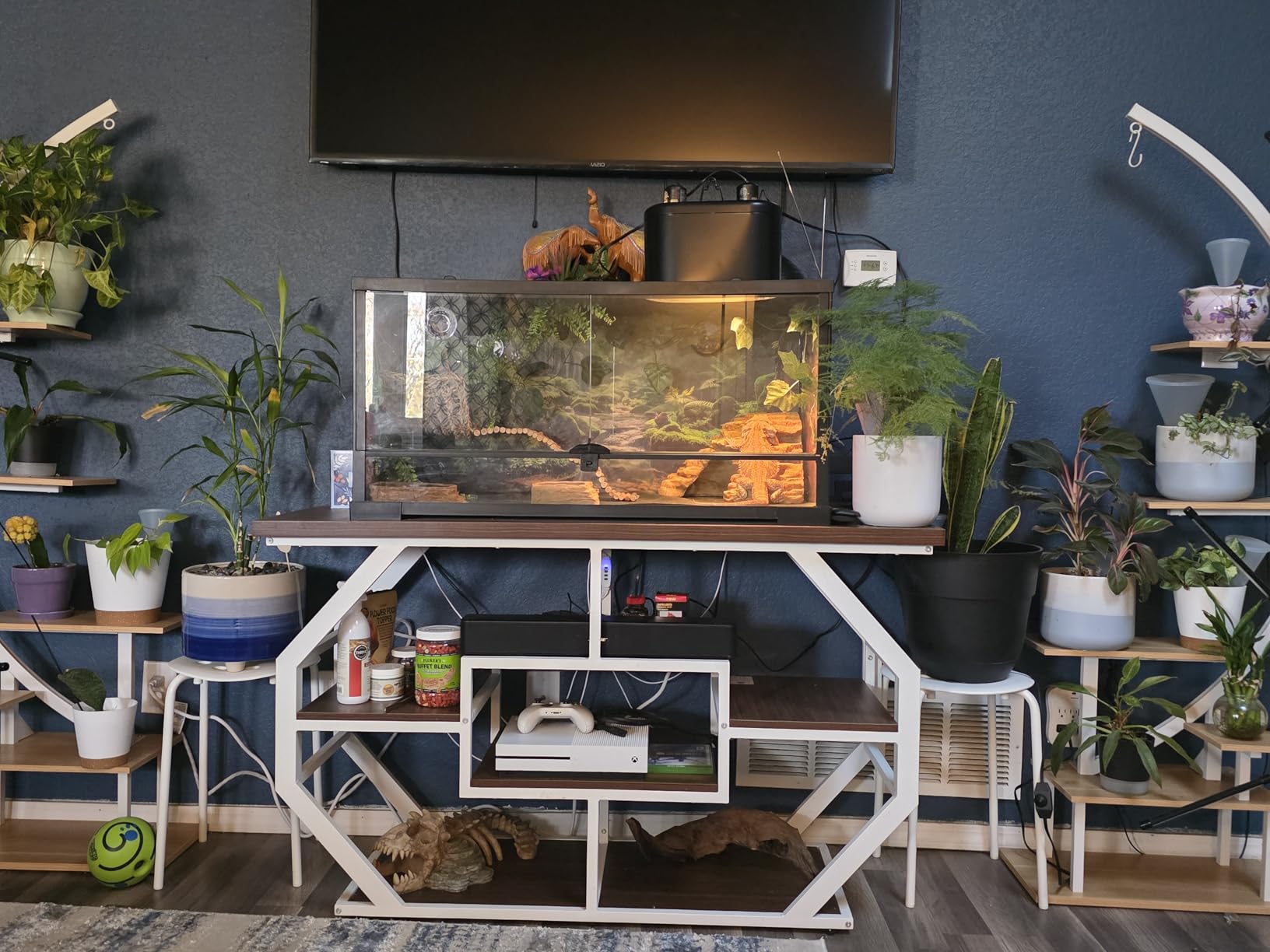 DWVO 55-75 Gallon Aquarium Stand with Power Outlet, Black & Gold | Display Stand for Turtle Tank, Reptile Terrarium, Metal Fish Tank Stand Suitable for Living Room, Entryway, 860LBS Capacity customer photo 1