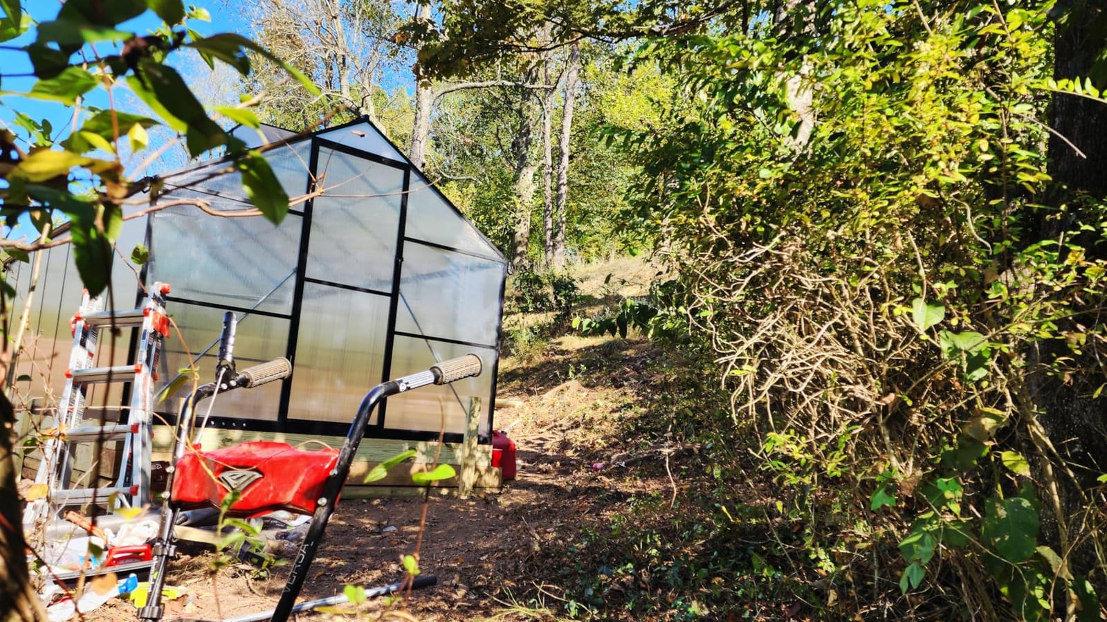 8x10 FT Greenhouse with Hygrometer, Windproof Warm Plant Green Houses | Heavy Duty Aluminum Frame Polycarbonate Greenhouses with Drainage Channel Roof Vent for Backyard or Garden Use customer photo 1