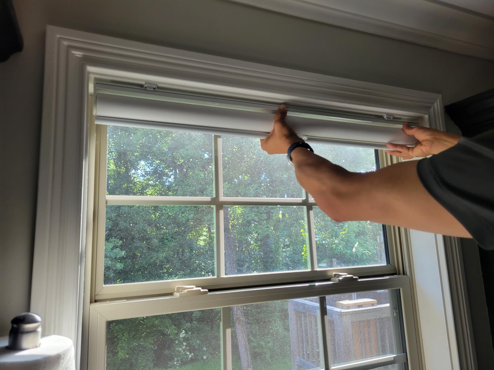Cordless Light Filtering Roller Shades for Indoor Window, 22