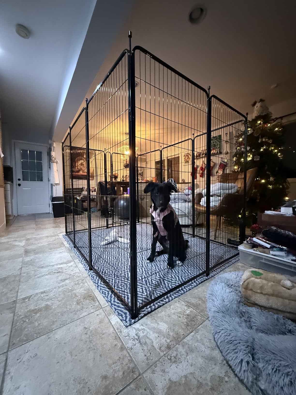 ADAVIN Tall Garden Fence 54 in(H) x 22.1 Ft(L), 10 Panels Dog Fence Outdoor for Yard, Heavy Duty Iron Metal Fence with Gate Low Threshold, No Dig Fences Panels, Animal Barrier Fences, Black customer photo 2