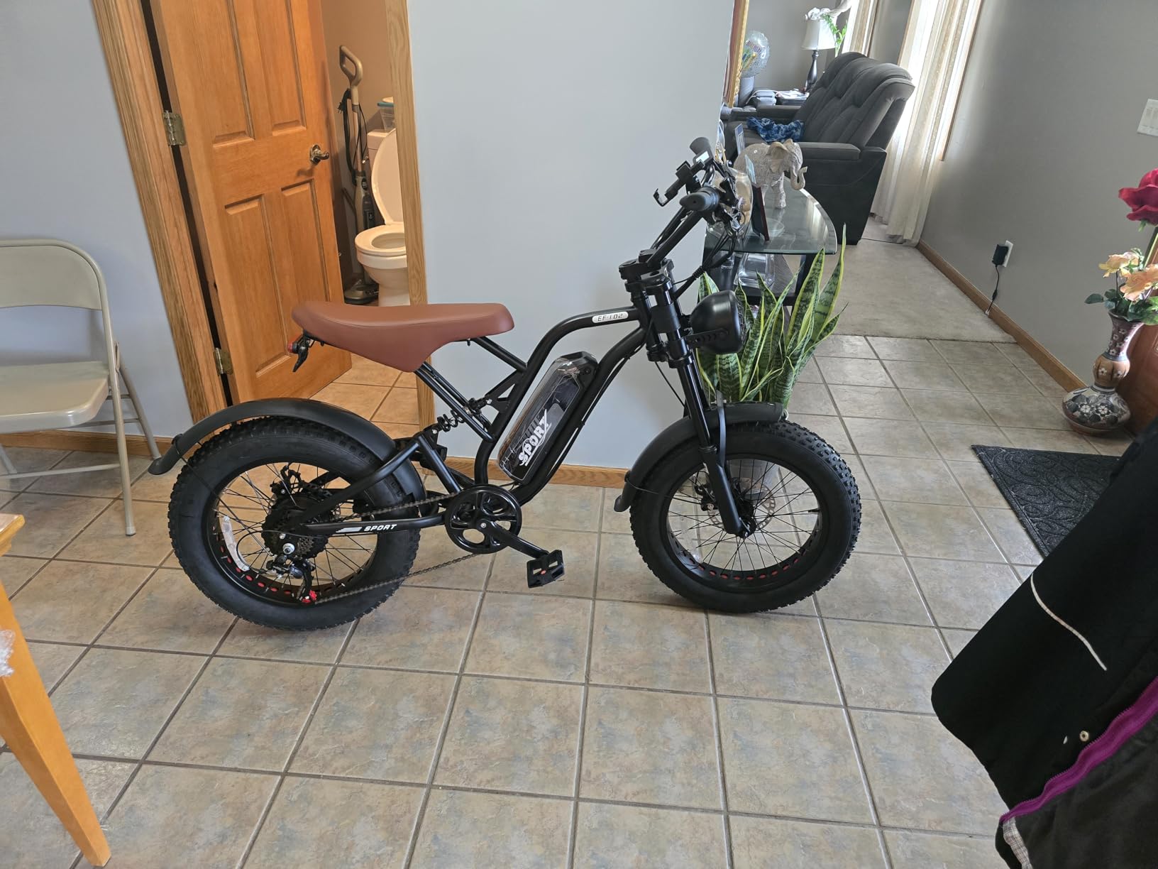 Electric Bike for Adults 48V/20AH Battery 1500W Peak Motor, 20