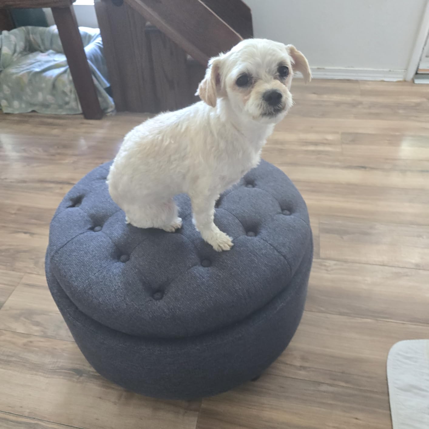 COLAMY Fabric Round Storage Ottoman with Reversible Tray Lid - Multi-Functional Footrest, Hidden Storage, Sturdy & Stylish Small Coffee Table for Living Room, Bedroom, or Entryway (Beige) customer photo 1