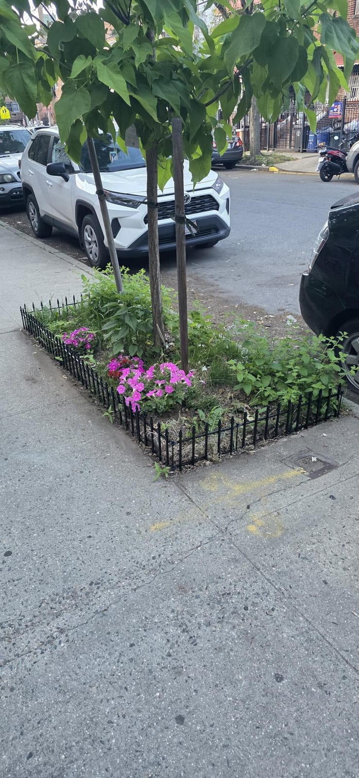 Decorative Metal Garden Fence with Gate 42