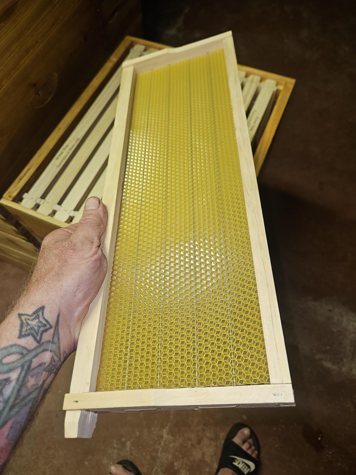 Swampland Bees - 20 Pack of Fully Assembled Wired Beeswax Foundation Deep (9-1/8