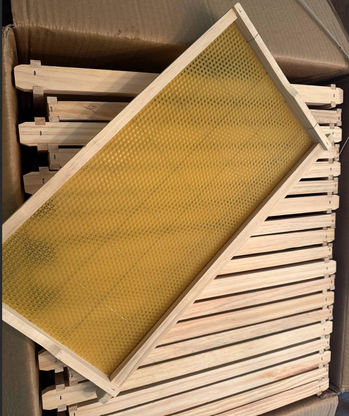 Swampland Bees - 20 Pack of Fully Assembled Wired Beeswax Foundation Deep (9-1/8