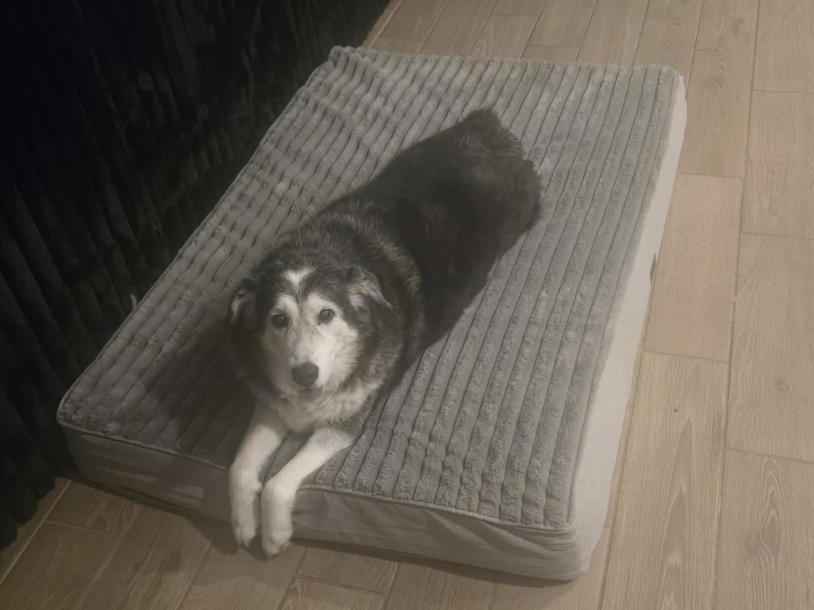 Veehoo Orthopedic Memory Foam Dog Bed, 7 Inch Thick Extra Large Dog Bed XL for Senior Dogs with Ultra-Soft Fluffy Surface, Waterproof Liner, Removable Washable Cover and Non-Slip Bottom, 48