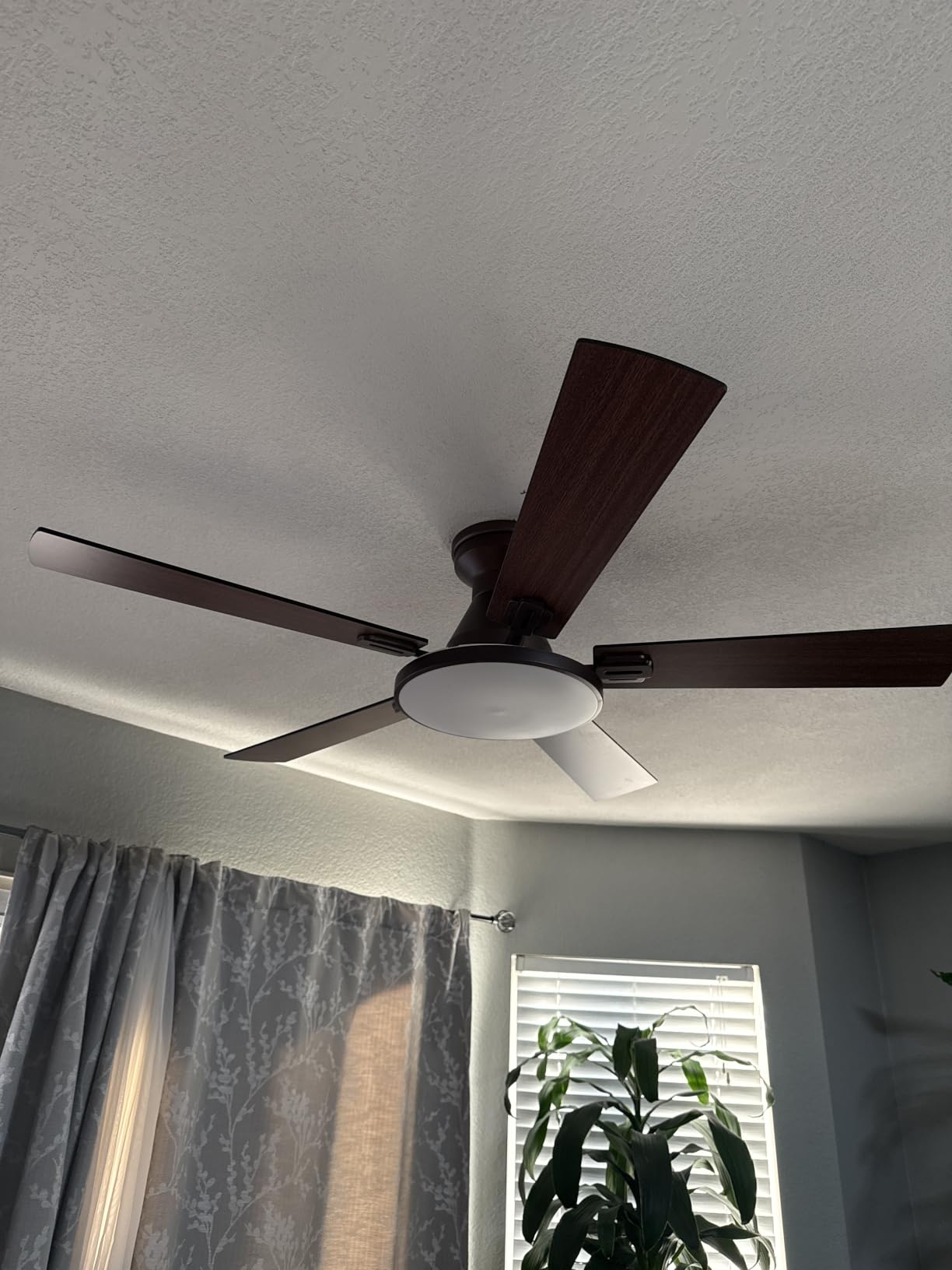 Passky Ceiling Fans with Lights, 52 inch Flush Mount Ceiling fan with Remote Control, Low Profile Ceiling Fan for Bedroom, Farmhouse, Reversible, 3CCT, Dimmable, Noiseless DC Motor, Black customer photo 1