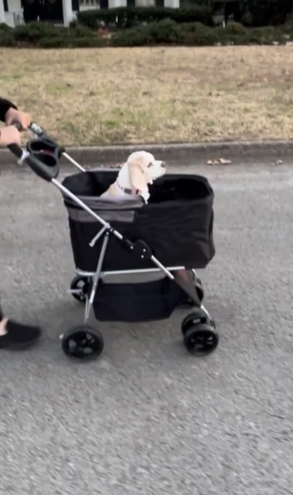 VEVOR Pet Stroller, 35 lbs Weight Capacity, Foldable Dog Stroller Cart, 4 Wheels Cats Strollers with Detachable Carrier & Mesh Windows, Portable Design with Brake for Small to Medium Pets customer photo 2