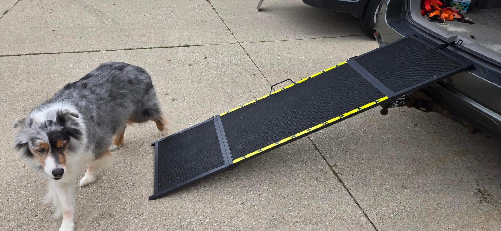 74'' L & 20'' W Longest Dog Ramp for Car - Extra Wide Portable Pet Dog Ramps for Large Dogs, Dogs Cars Ramp for Car SUV/Truck/RV/Bed, Lightweight Ramps with Non-Slip Mesh Up to 250LBS, Black customer photo 1
