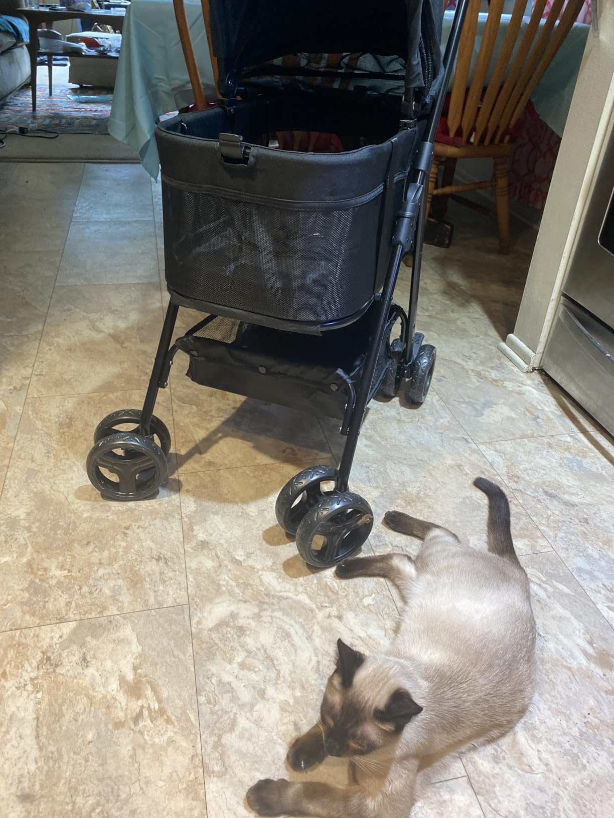 Zoosky 3 in 1 Dog Stroller, Folding Pet Stroller w/Removable Carrier | Small/Medium Dogs and Cats, Waterproof, All-Terrain & 2 Sun Shades, Car Seat, 360° Breathable Mesh customer photo 2