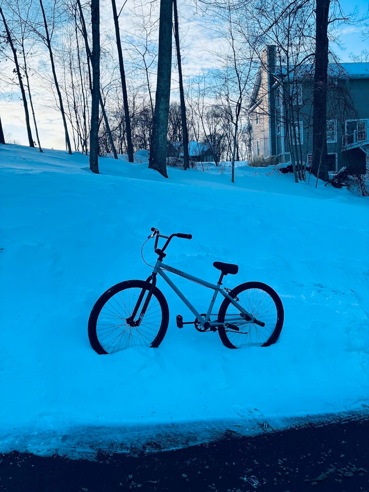 cubsala 20 24 26 Inch BMX Race Bike Trident Bicycles Beginner-Level to Advanced Riders with 2 Pegs, Multiple Colors customer photo 2
