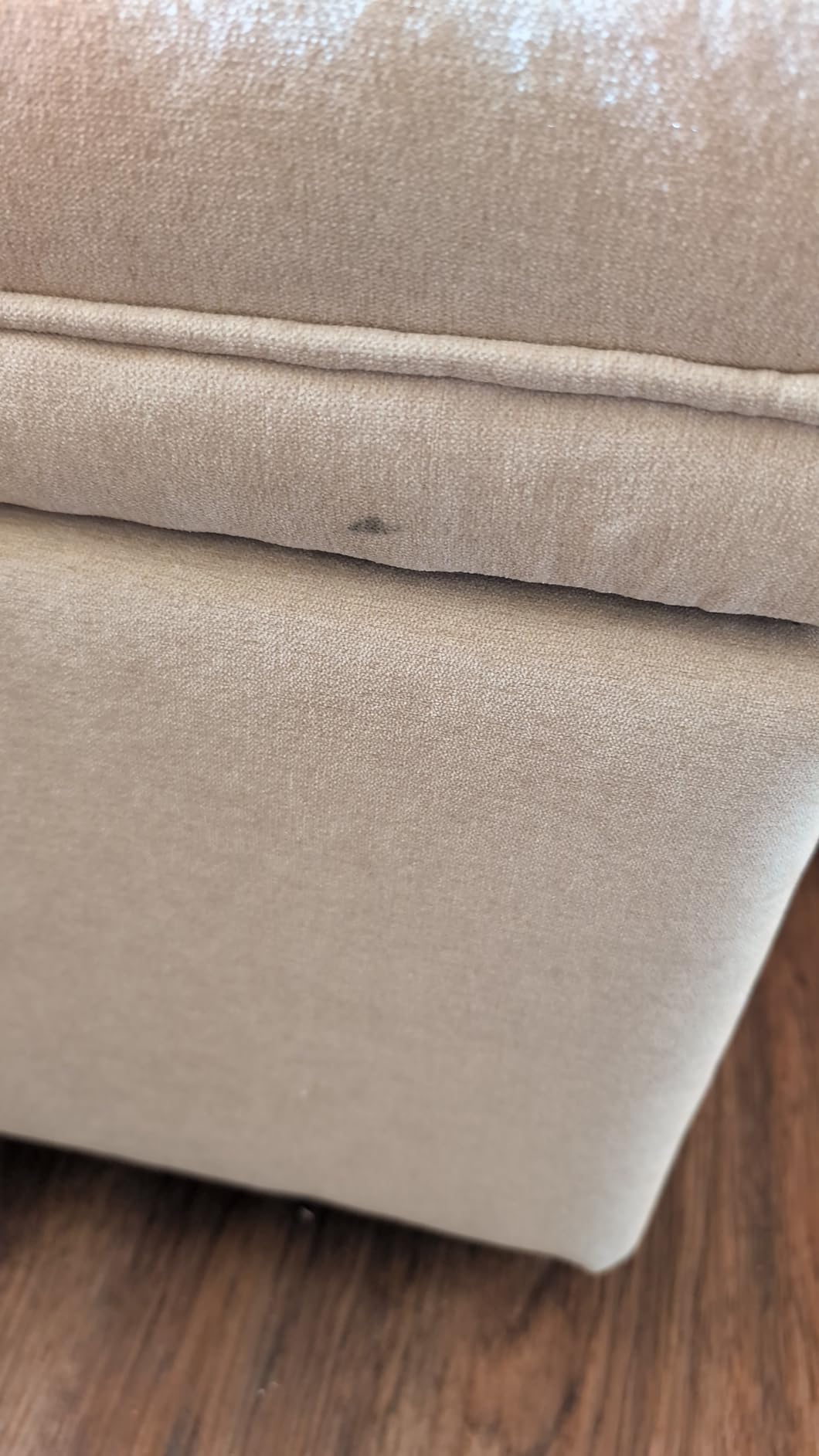 Mangodan 50 Inch Large Storage Ottoman, Tufted Ottoman with Storage | End of Bed Ottomans for Living Room, Bedroom, Modern Entryway Benchs customer photo 2